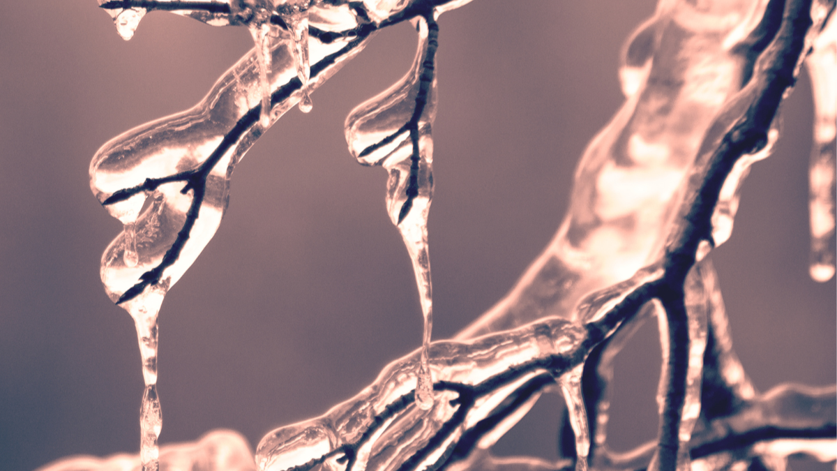 Eisbaden im Winter und Sommer